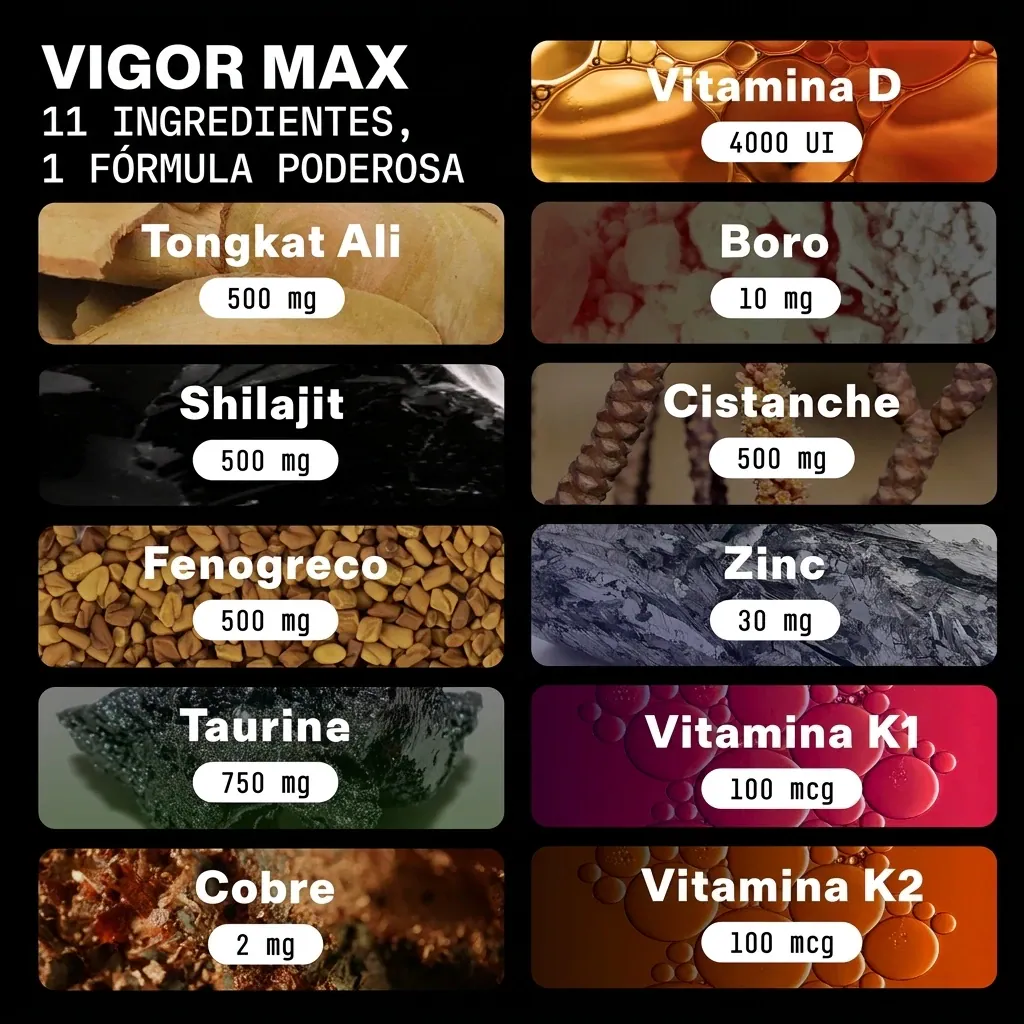 Boost Apoyo natural para la testosterona